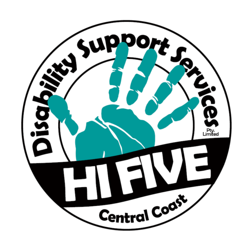 Hi Five Disabilty Services 